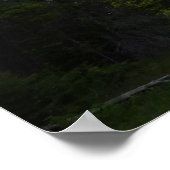 Aster Park Trail in Glacier National Park Poster (Hoek)