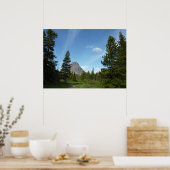 Aster Park Trail in Glacier National Park Poster (Keuken)
