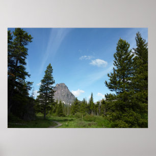 Aster Park Trail in Glacier National Park Poster