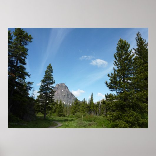 Aster Park Trail in Glacier National Park Poster (Voorkant)