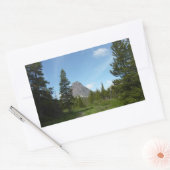 Aster Park Trail in Glacier National Park Rechthoekige Sticker (Envelop)