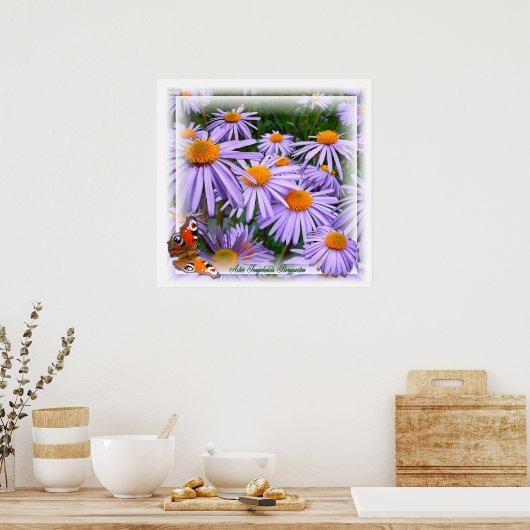 Aster ~ Poster (Keuken)