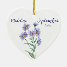 Aster September Birth Flower