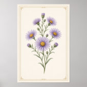 Aster, september geboortebloem muur kunst print  (Voorkant)