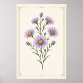 Aster, september geboortebloem muur kunst print 