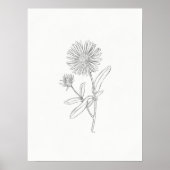 Aster Sketch Print (Voorkant)
