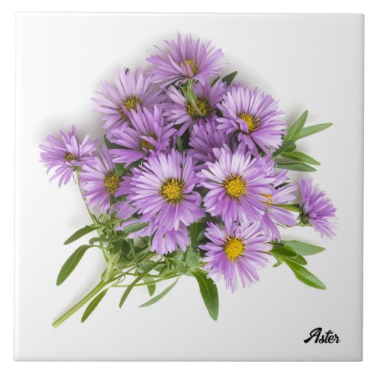 Aster Tegeltje (Voorkant)
