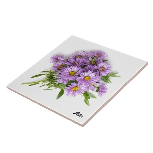 Aster Tegeltje (Zijkant)