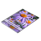 Aster tongolensis "Berggarten" Notitieboek (Linkerzijde)