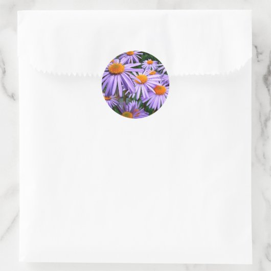 Aster-Tongolensis bloem Ronde Sticker (Tas)