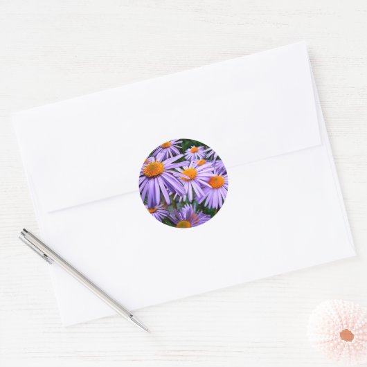 Aster-Tongolensis bloem Ronde Sticker (Envelop)