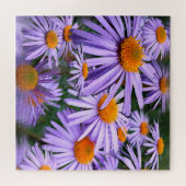 Aster tongolensis legpuzzel (Horizontaal)