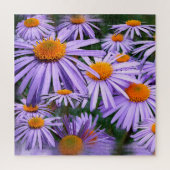 Aster tongolensis legpuzzel (Verticaal)