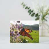 Aster Visitor Briefkaart (Staand voorkant)