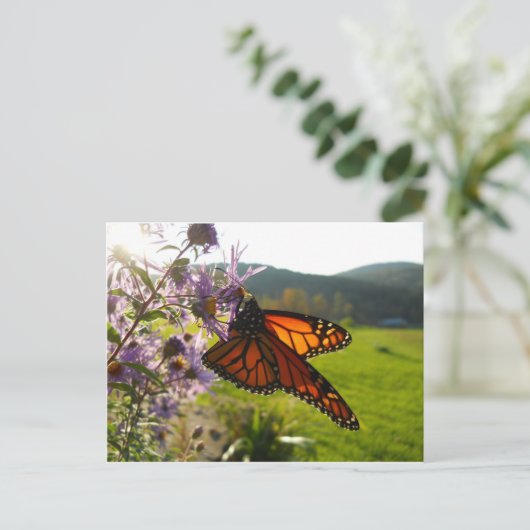 Aster Visitor Briefkaart (Staand voorkant)