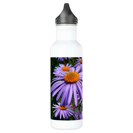 Aster Waterfles (Links)