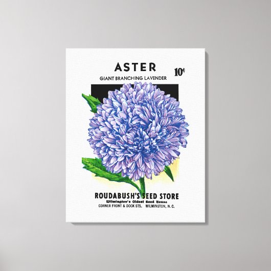 Aster  zaadpakket canvas afdruk (Voorkant)