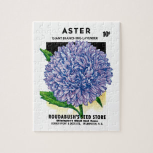 Aster  zaadpakket legpuzzel
