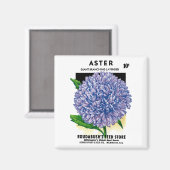 Aster  zaadpakket magneet (Voorkant / Achterkant)