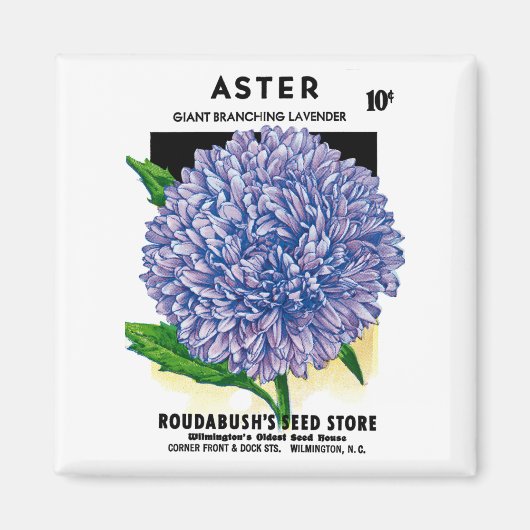 Aster  zaadpakket magneet (Voorkant)