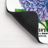 Aster  zaadpakket muismat (Hoek)