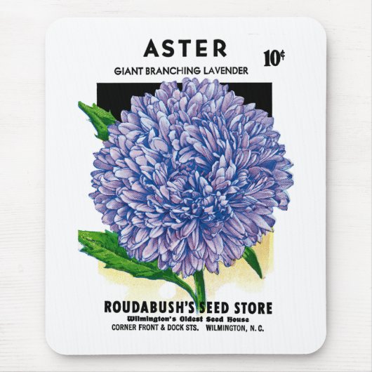 Aster  zaadpakket muismat (Voorkant)
