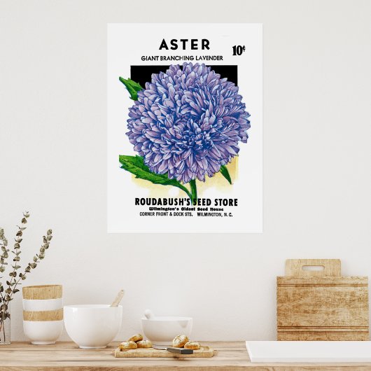 Aster zaadpakket poster (Keuken)