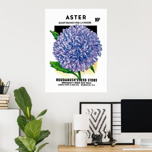 Aster  zaadpakket poster (Thuiskantoor)
