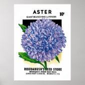 Aster zaadpakket poster (Voorkant)