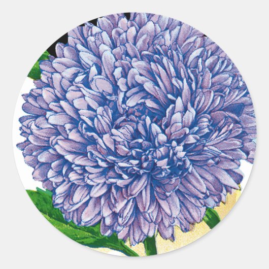 Aster zaadpakket ronde sticker (Voorkant)