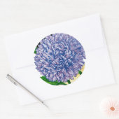 Aster zaadpakket ronde sticker (Envelop)
