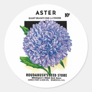 Aster  zaadpakket ronde sticker