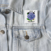 Aster  zaadpakket vierkante button 5,1 cm (In situ)