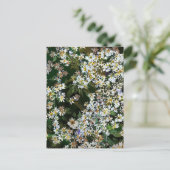 ASTERBLOEMEN BRIEFKAART (Staand voorkant)