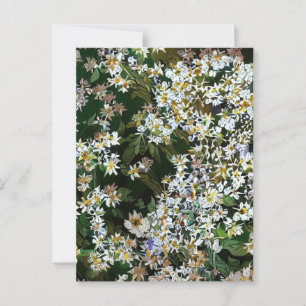 ASTERBLOEMEN BRIEFKAART