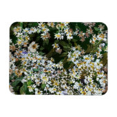 ASTERBLOEMEN MAGNEET (Horizontaal)