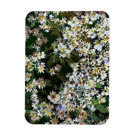 ASTERBLOEMEN MAGNEET (Verticaal)