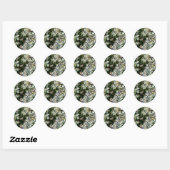 ASTERBLOEMEN RONDE STICKER (Vel)
