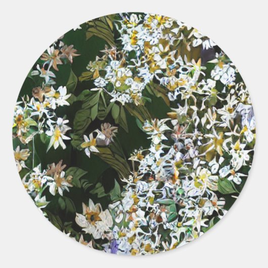 ASTERBLOEMEN RONDE STICKER (Voorkant)