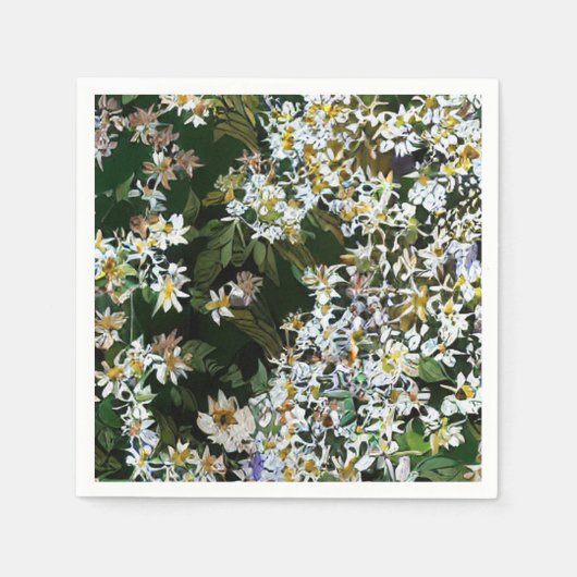 ASTERBLOEMEN SERVET (Voorkant)