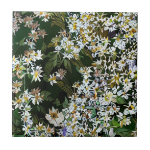 ASTERBLOEMEN TEGELTJE