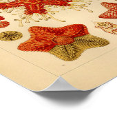 Asteridae Kleur Ernst Haeckel Art Afdrukken Poster (Hoek)