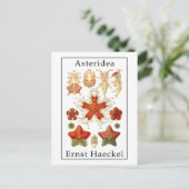 Asteridea door Ernst Haeckel Briefkaart (Staand voorkant)