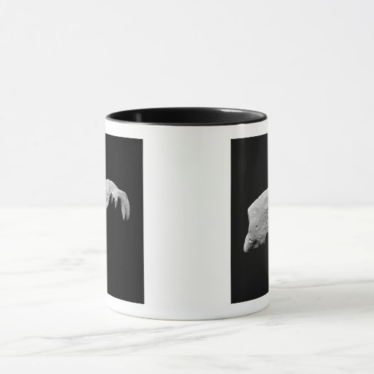 Asteroïde 243 Ida Mok (Midden)