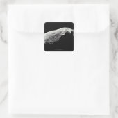 Asteroïde 243 Ida Vierkante Sticker (Tas)