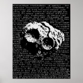 Asteroïde Poster (Voorkant)