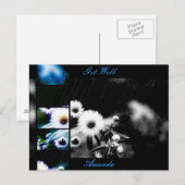 Asters Aglow Collage Briefkaart *Aanpassen* (Voorkant / Achterkant)