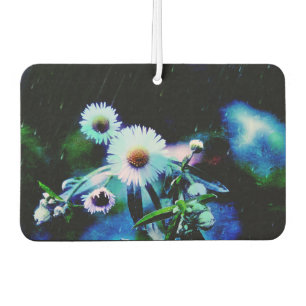 Asters Aglow Luchtverfrisser