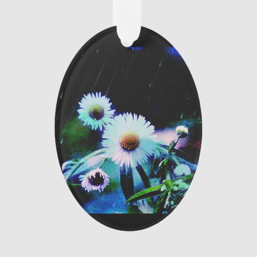 Asters Aglow Oval Ornament (voorkant)