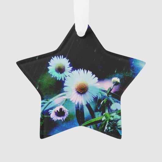 Asters Aglow Star Ornament (voorkant)